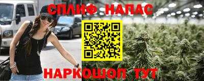 ГАЛЛЮЦИНОГЕННЫЕ ГРИБЫ Новодвинск