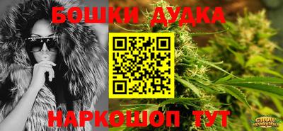 прущие крисы Новозыбков