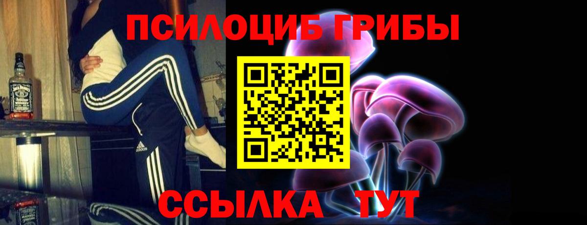 Галлюциногенные грибы Psilocybe Сыктывкар